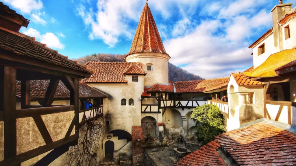 Brasov to Bear Sanctuary, Bran Castle and Rasnov
